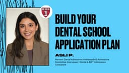 Build Your Dental School Application Plan