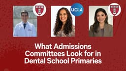 What Admissions Committees Look for in Dental School Primaries
