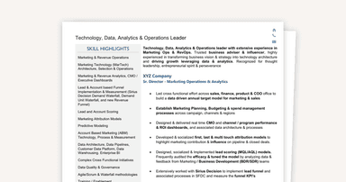 Example Resume - Revenue Operations and Data Analytics