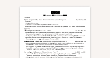 Software Developer Resume Example